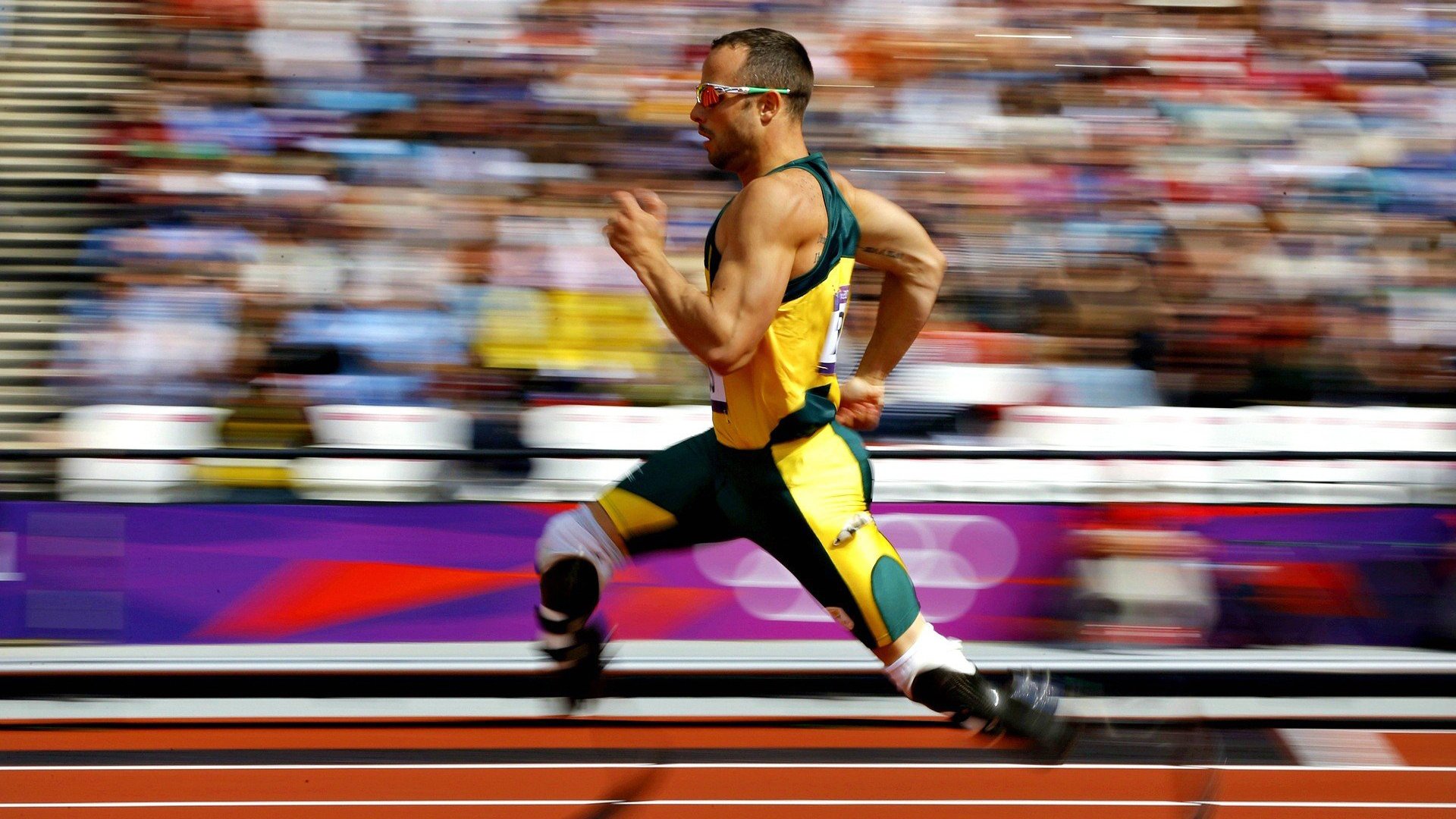 体育新闻中心推动智慧体育内容生态建设,体育新闻中心推动智慧体育内容生态建设工作