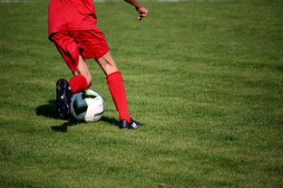 乐鱼体育app下载地址-中国足球青年联赛系统标准化形态剖析，全国足球青年联赛